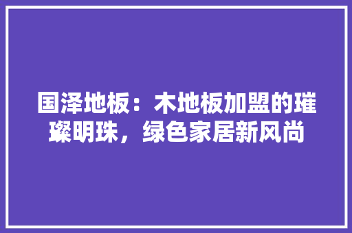 国泽地板：木地板加盟的璀璨明珠，绿色家居新风尚 现代风格装饰