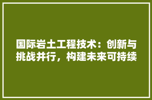国际岩土工程技术：创新与挑战并行，构建未来可持续基础设施 现代风格装饰