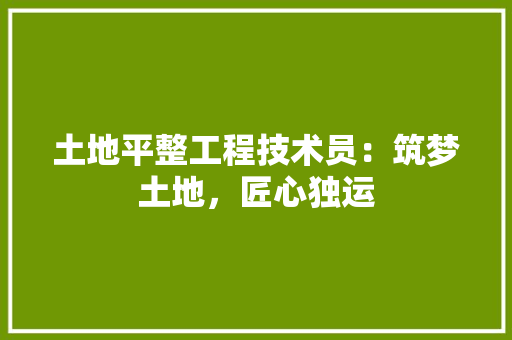土地平整工程技术员：筑梦土地，匠心独运 现代风格装饰