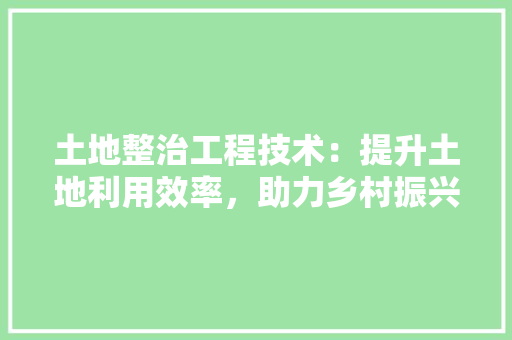 土地整治工程技术：提升土地利用效率，助力乡村振兴 现代风格装饰