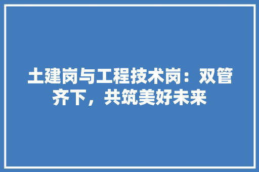 土建岗与工程技术岗：双管齐下，共筑美好未来 现代风格装饰
