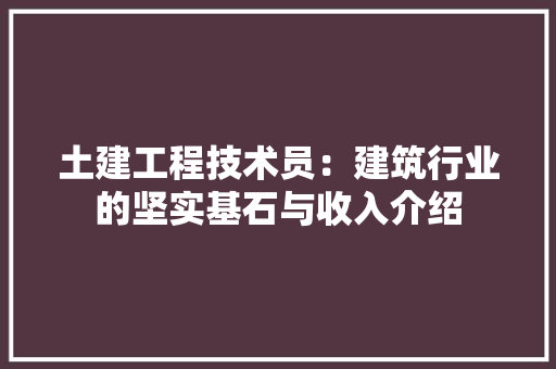 土建工程技术员：建筑行业的坚实基石与收入介绍