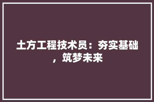 土方工程技术员：夯实基础，筑梦未来 现代风格装饰