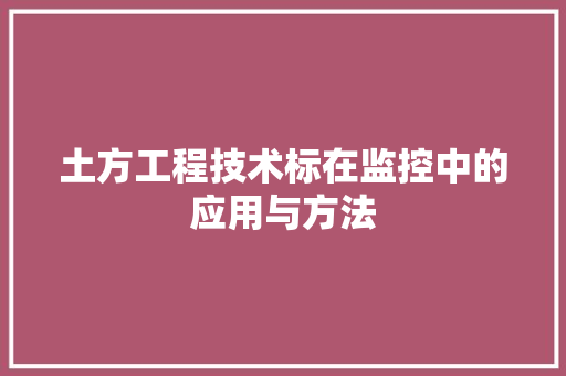 土方工程技术标在监控中的应用与方法 现代风格装饰