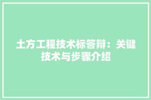 土方工程技术标答辩：关键技术与步骤介绍