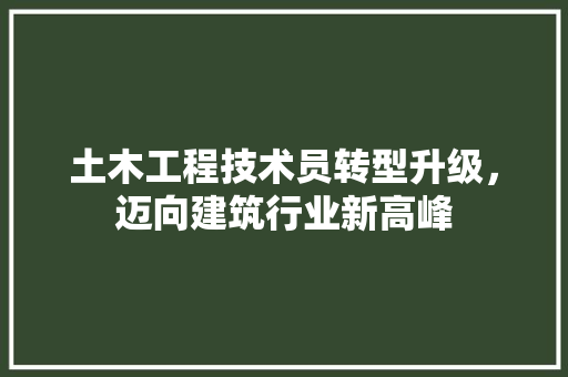 土木工程技术员转型升级，迈向建筑行业新高峰 现代风格装饰