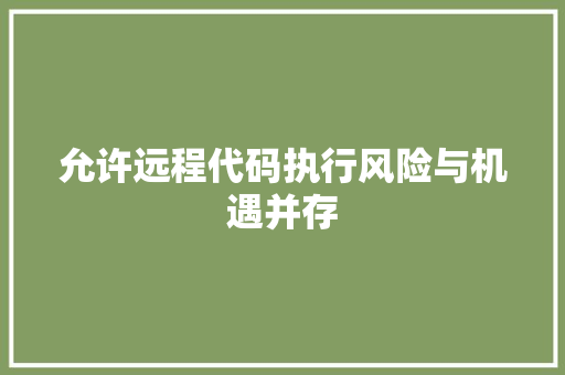 允许远程代码执行风险与机遇并存