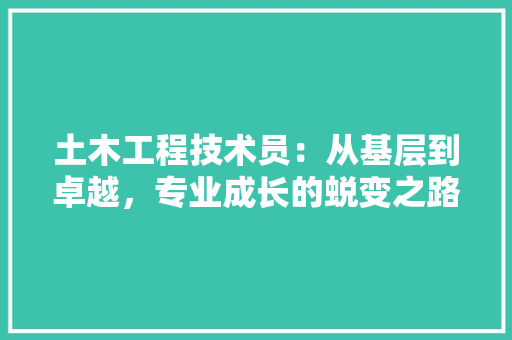 土木工程技术员：从基层到卓越，专业成长的蜕变之路 现代风格装饰
