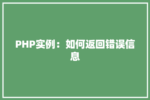 PHP实例：如何返回错误信息