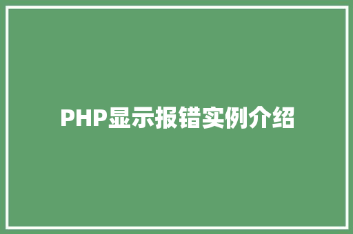 PHP显示报错实例介绍