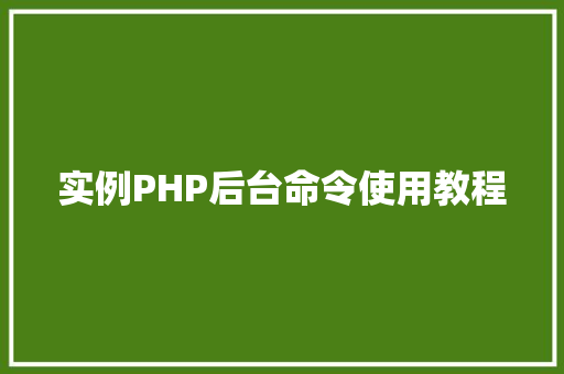 实例PHP后台命令使用教程