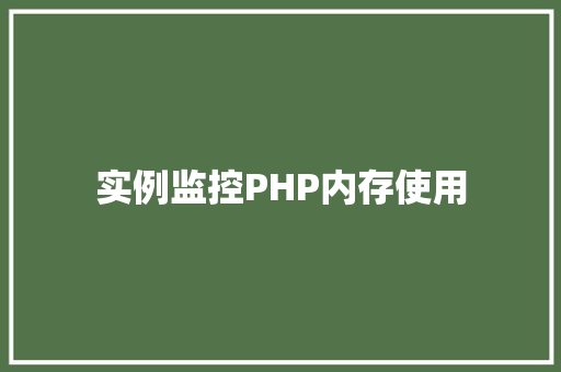 实例监控PHP内存使用