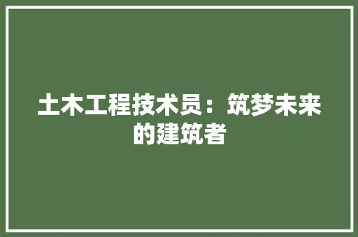 土木工程技术员：筑梦未来的建筑者 现代风格装饰