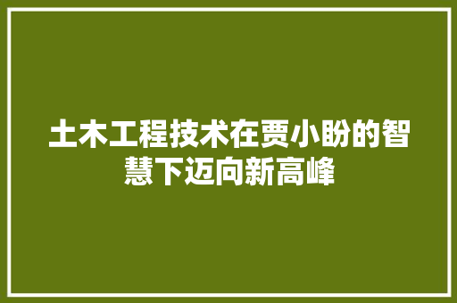土木工程技术在贾小盼的智慧下迈向新高峰 现代风格装饰