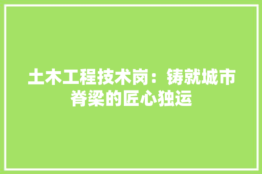土木工程技术岗：铸就城市脊梁的匠心独运 现代风格装饰