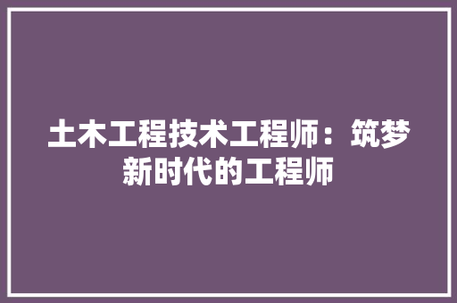 土木工程技术工程师：筑梦新时代的工程师 现代风格装饰