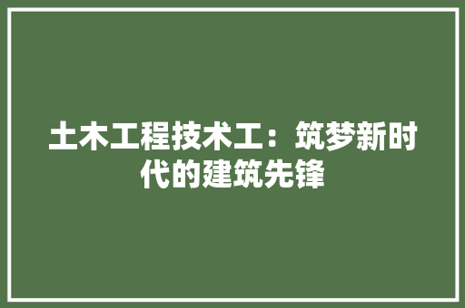 土木工程技术工：筑梦新时代的建筑先锋 现代风格装饰