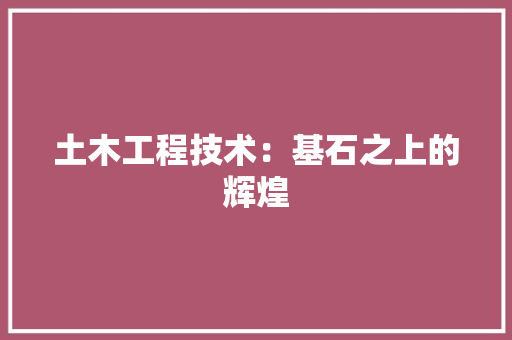 土木工程技术：基石之上的辉煌 现代风格装饰