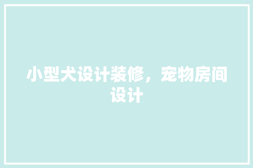 小型犬设计装修，宠物房间设计
