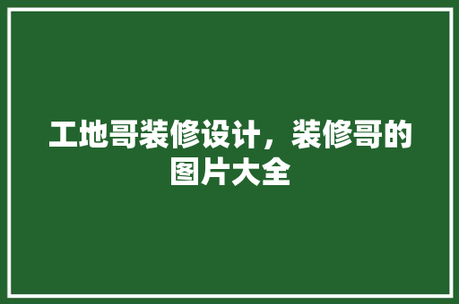 工地哥装修设计，装修哥的图片大全
