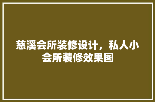 慈溪会所装修设计，私人小会所装修效果图 客厅装修
