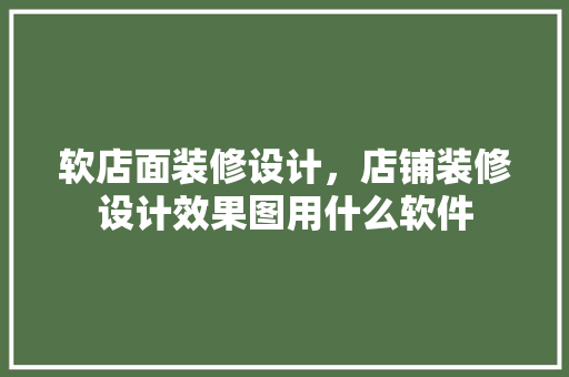软店面装修设计，店铺装修设计效果图用什么软件