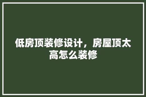 低房顶装修设计，房屋顶太高怎么装修 现代风格装饰