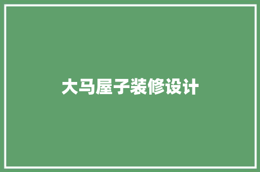大马屋子装修设计