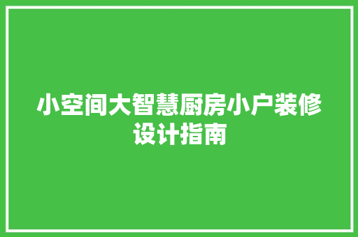 小空间大智慧厨房小户装修设计指南