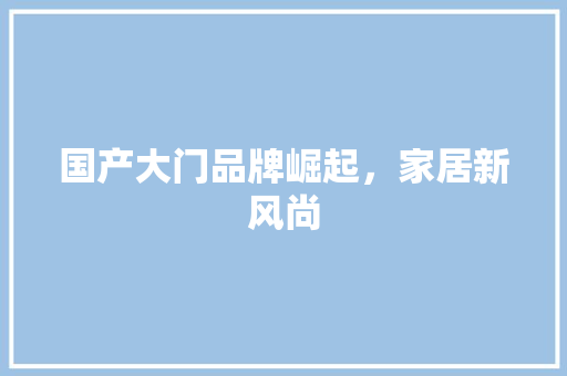 国产大门品牌崛起，家居新风尚 现代风格装饰