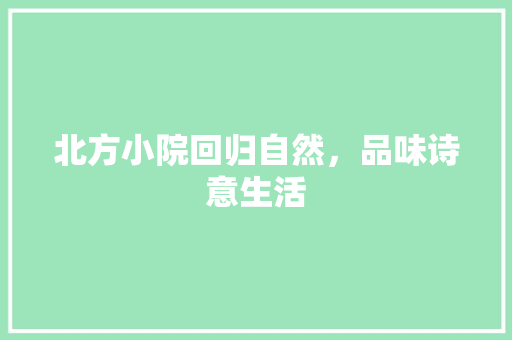北方小院回归自然，品味诗意生活