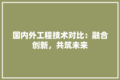 国内外工程技术对比：融合创新，共筑未来 现代风格装饰