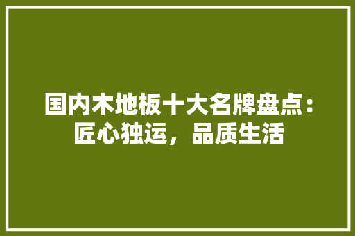 国内木地板十大名牌盘点：匠心独运，品质生活 现代风格装饰