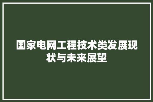 国家电网工程技术类发展现状与未来展望 现代风格装饰
