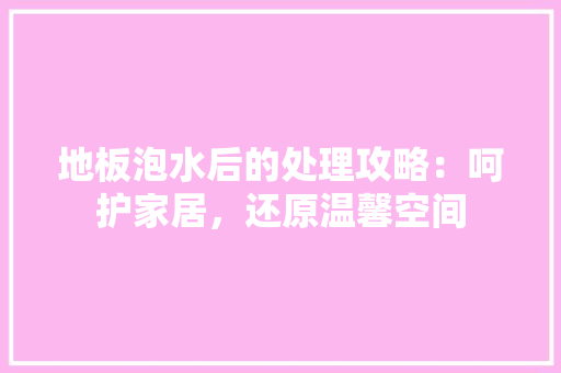 地板泡水后的处理攻略：呵护家居，还原温馨空间 现代风格装饰