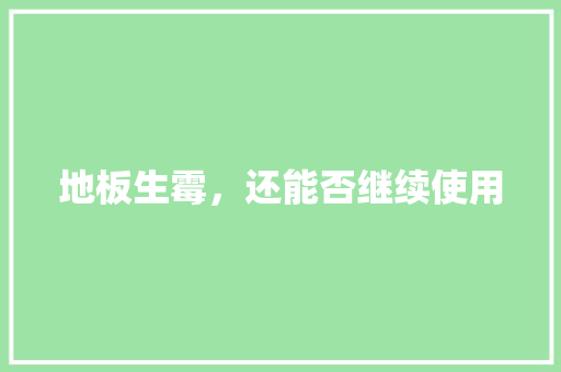 地板生霉，还能否继续使用 现代风格装饰