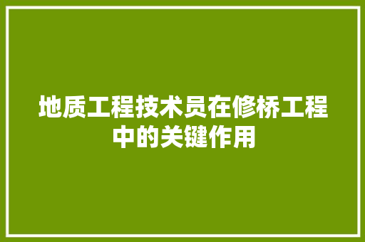地质工程技术员在修桥工程中的关键作用 现代风格装饰