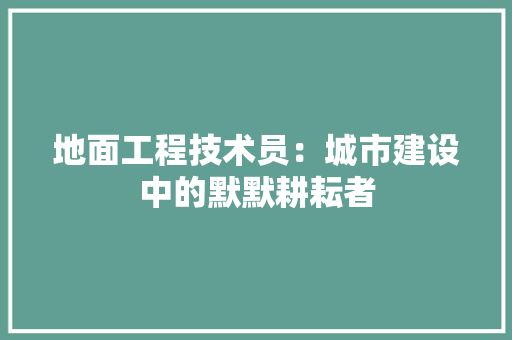 地面工程技术员：城市建设中的默默耕耘者 现代风格装饰