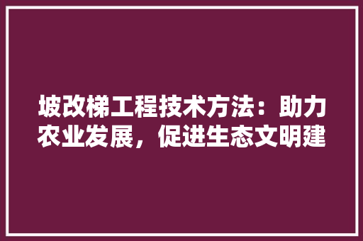 坡改梯工程技术方法：助力农业发展，促进生态文明建设 现代风格装饰