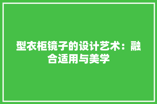 型衣柜镜子的设计艺术：融合适用与美学 现代风格装饰