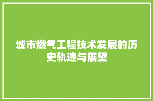 城市燃气工程技术发展的历史轨迹与展望 现代风格装饰