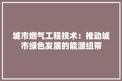 城市燃气工程技术：推动城市绿色发展的能源纽带 现代风格装饰