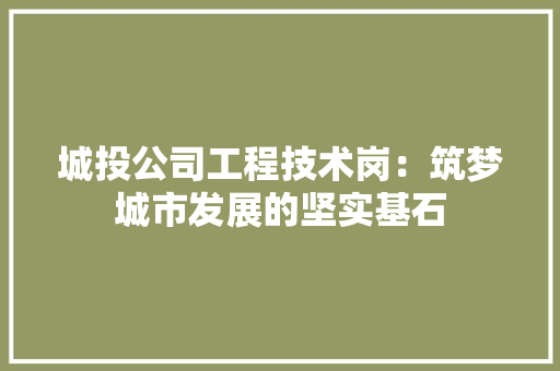 城投公司工程技术岗：筑梦城市发展的坚实基石 现代风格装饰