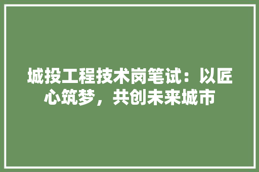 城投工程技术岗笔试：以匠心筑梦，共创未来城市
