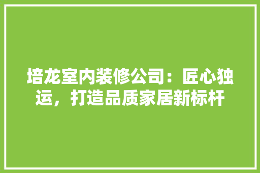 培龙室内装修公司：匠心独运，打造品质家居新标杆 现代风格装饰
