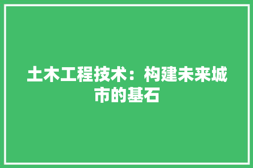 土木工程技术：构建未来城市的基石 现代风格装饰