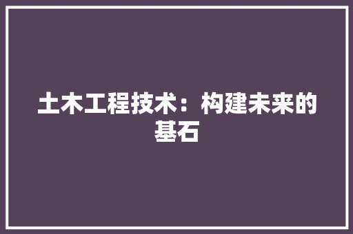 土木工程技术：构建未来的基石 现代风格装饰