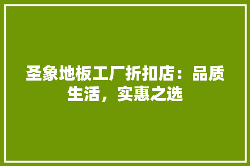 圣象地板工厂折扣店：品质生活，实惠之选 现代风格装饰