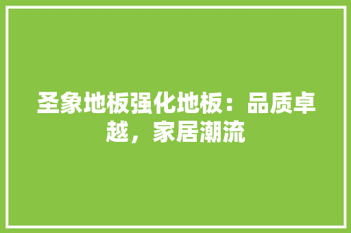 圣象地板强化地板：品质卓越，家居潮流 现代风格装饰
