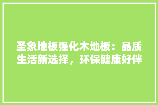 圣象地板强化木地板：品质生活新选择，环保健康好伴侣 现代风格装饰
